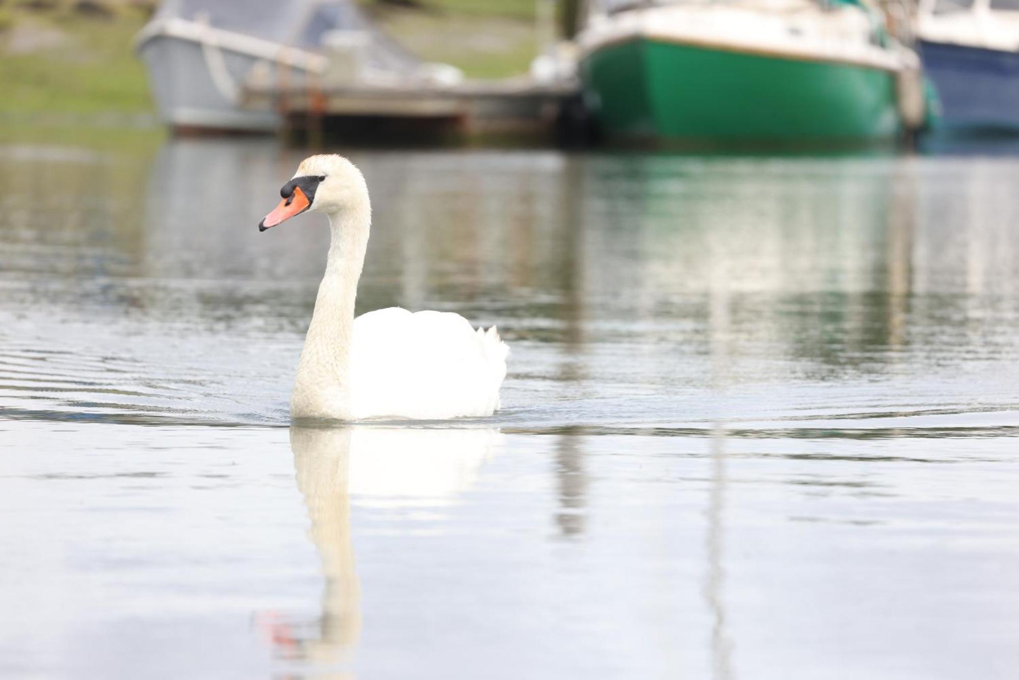 Mercury Yacht Harbour And Holiday Park Bursledon Esterno foto